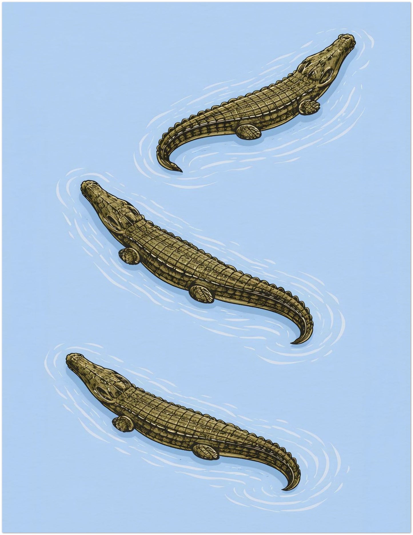 11x14 inch unframed saltwater crocodile poster featuring three diagonally arranged reptiles on a soft blue background. The illustration emphasises armored scales and osteoderms through crisp woodcut-style detail. A Southeast Asian natural history inspired wildlife art print suited to study wall decor and contemporary gallery walls.
