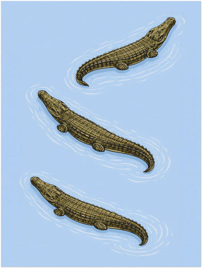 12x16 inch unframed crocodile wall art print displaying three estuarine crocodiles in structured diagonal formation. The powder blue background contrasts with olive reptile tones, while white ripple lines suggest movement. A modern wildlife poster influenced by traditional zoological illustration and ideal for reptile art collectors.