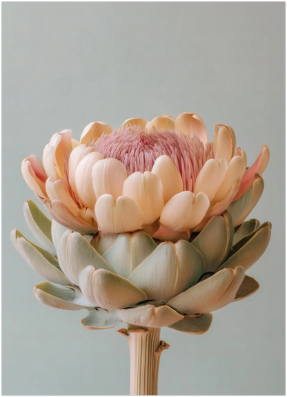 Blush Medina Mediterranean Artichoke Print - CITTRA Collective