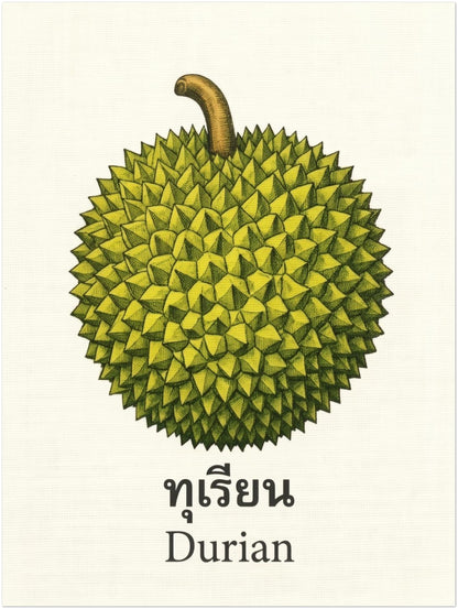 Unframed 18x24 retro durian print inspired by Thai fruit illustration and botanical label design. The artwork features a green spiky durian with a curved stem, centred on a cream background with Thai text and the English label “Durian” below. A simple cultural fruit print for kitchens, cafes, food walls and modern spaces that need clean natural wall art.