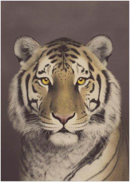 20x28 inch unframed Malayan tiger wall decor print featuring a calm front-facing big cat portrait. Vintage photographic style with warm brown background, sharp stripe patterns and soft fur detail. Suitable for medium sized walls in bedrooms, studies or modern living spaces.