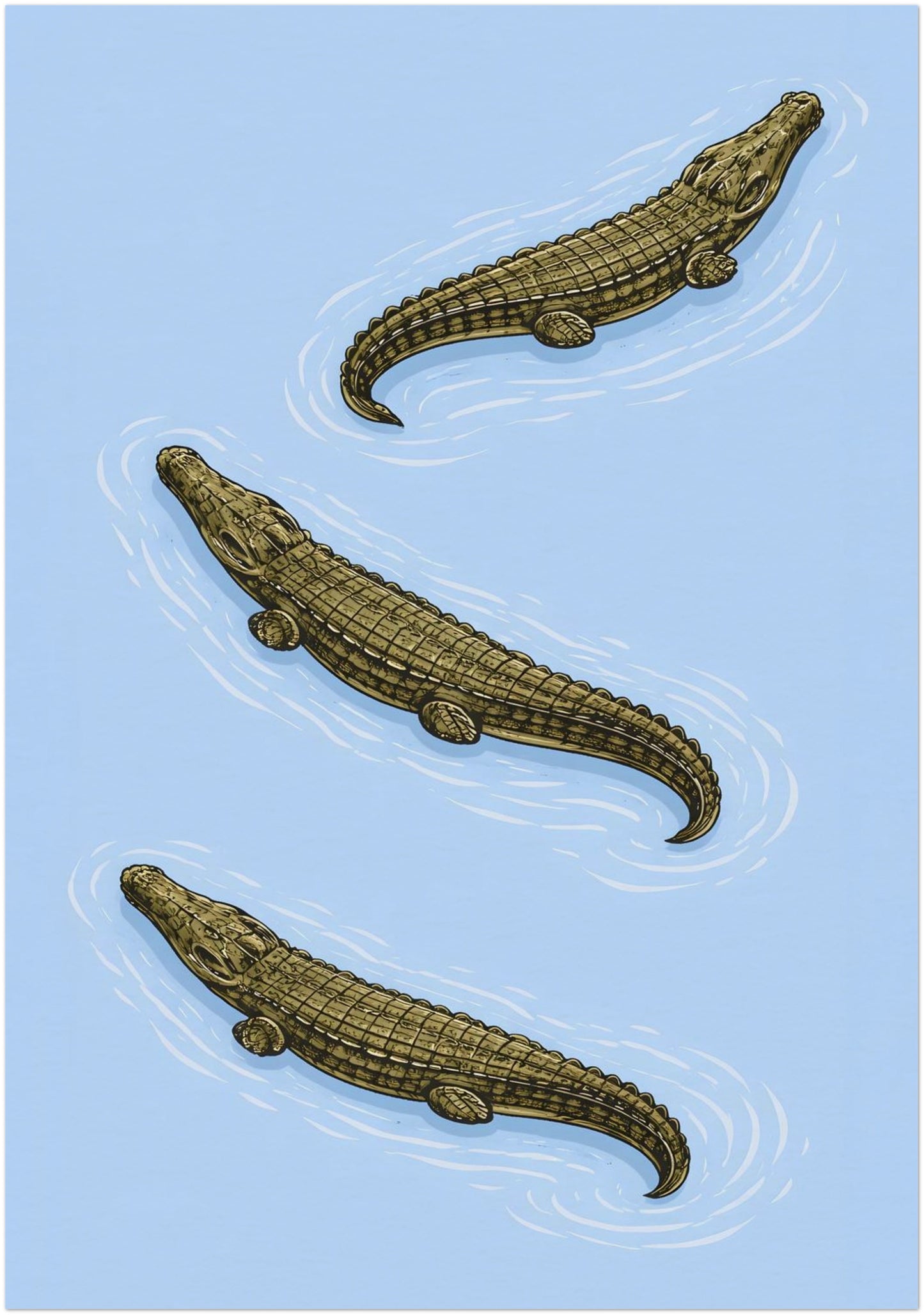 28x40 inch unframed large crocodile wall art poster designed as a statement wildlife print. Three saltwater crocodiles are illustrated diagonally in detailed zoological style against a powder blue background. Ideal for feature walls, offices or spacious interiors seeking bold natural history themed decor.