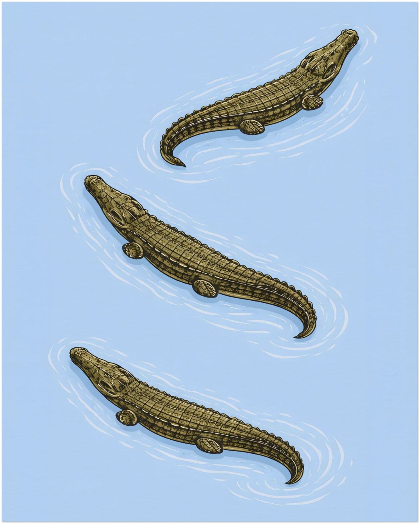 8x10 inch unframed crocodile art print showing three estuarine saltwater crocodiles in a rhythmic diagonal composition. The blue backdrop creates strong contrast with olive reptile tones, while fine linework adds natural history detail. A reptile wall art poster designed for study spaces, home offices and minimalist animal decor.