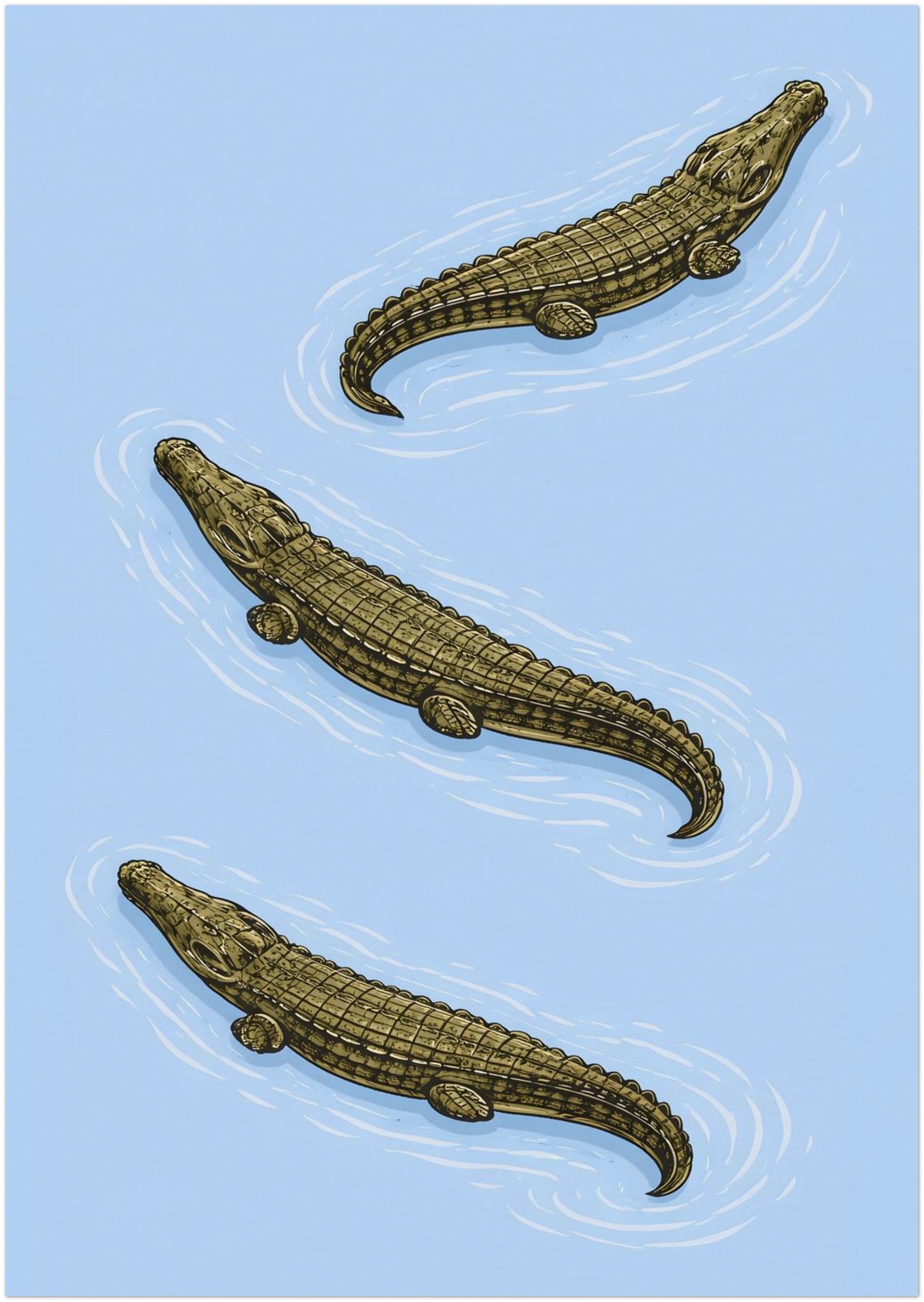 8x12 inch unframed Triple Estuarine Crocodiles poster inspired by vintage zoological plates. Three detailed crocodiles move across a calm blue field, with ripple lines indicating water. The balanced layout and specimen-style presentation make it suitable for wildlife wall decor, reptile themed interiors and natural history art collections.