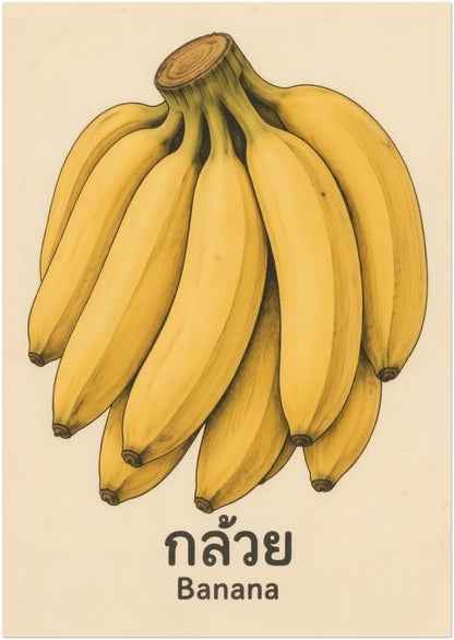 8x12 unframed retro banana print featuring a hand-drawn bunch of yellow bananas with Thai text and the English label Banana below. The aged background and narrow portrait shape give it a classic Thai fruit poster feel with a simple vintage style. A strong option for banana kitchen wall art, tropical fruit wall decor, food-themed gallery walls, and small spaces that suit vertical artwork.
