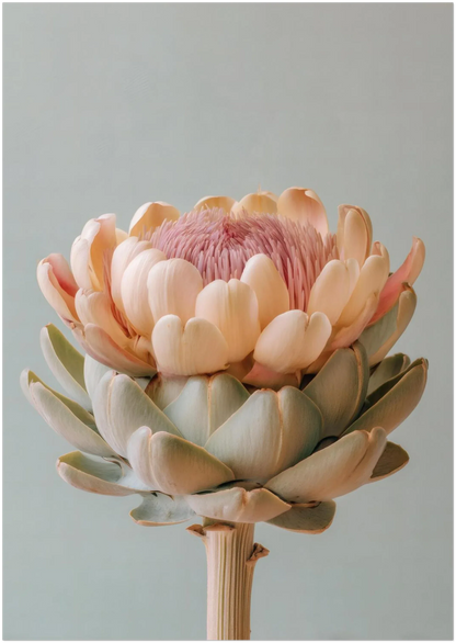 A pastel artichoke wall art print displayed in the A0 size on a clean background to show full artwork cropping and proportions. Soft botanical palette and sleek modern styling.