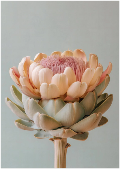 A pastel artichoke wall art print shown in the A2 size on a clean background highlighting crop and proportions. Gentle botanical palette and modern, minimal presentation.