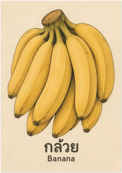 A3 unframed vintage banana Thai food print with a detailed yellow banana bunch, Thai script, and the English label Banana on an aged cream background. The compact portrait size gives the artwork a neat retro look that is easy to place on smaller walls or shelves. Works well for banana wall art, kitchen print displays, tropical fruit poster styling, pantry decor, and botanical food art sets.