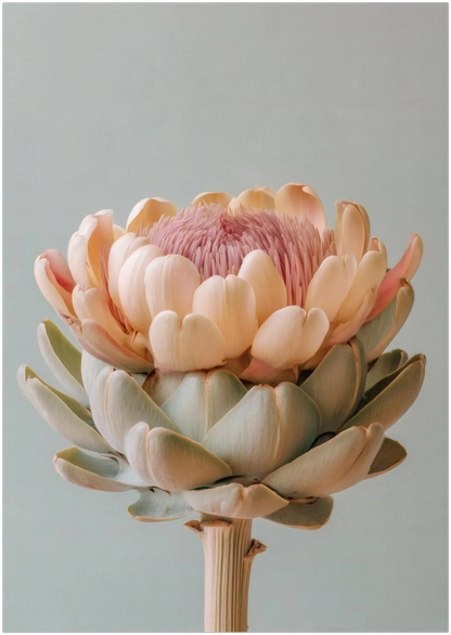 A pastel artichoke wall art print shown in the A3 size on a plain background demonstrating how the artwork crops and scales. Smooth botanical tones and a clean modern look.