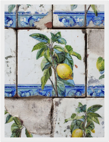 Wooden Framed Realistic Portuguese Lemon Azulejo Print - CITTRA Collective 30x40 cm / 12x16″ / White frame