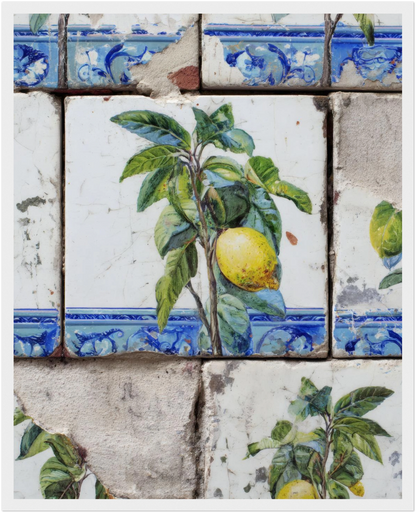 Wooden Framed Realistic Portuguese Lemon Azulejo Print - CITTRA Collective 40x50 cm / 16x20″ / White frame