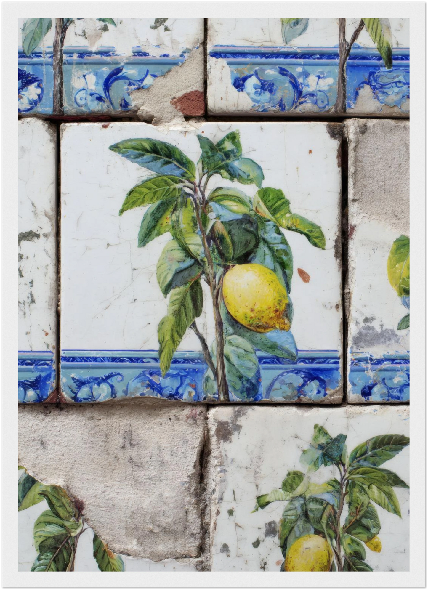 Wooden Framed Realistic Portuguese Lemon Azulejo Print - CITTRA Collective A3 (29.7 x 42  cm) / White frame