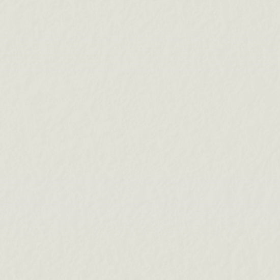 Portrait of a animals in abstract photorealistic style, Midjourney-generated art with vivid colour blocks and geometric composition video