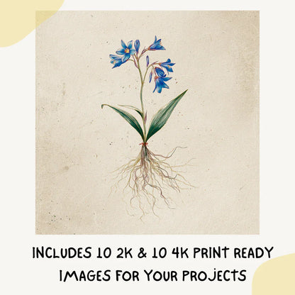 Editable Midjourney Prompt for Minimalist Botanical Ink Illustrations - CITTRA Collective